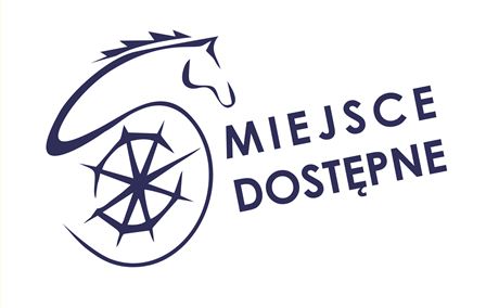 Konferencja KONIN – MIASTO DOSTĘPNE